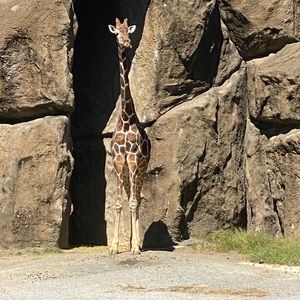 Meet your Posher, Ibrahim